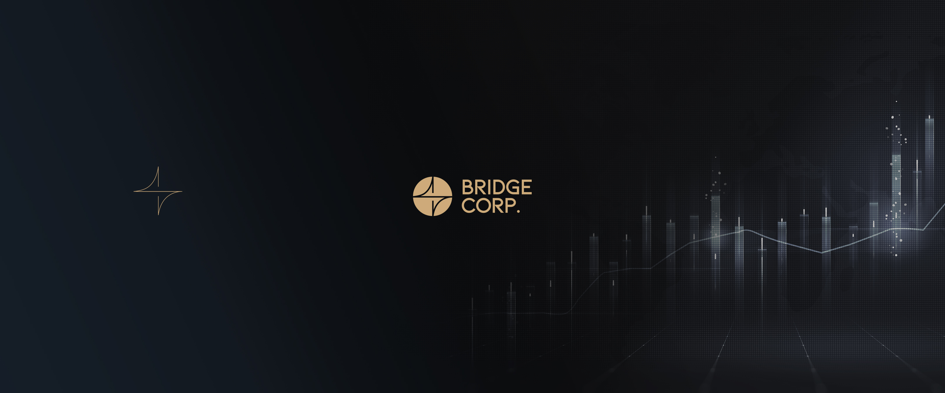 BRIDGE CORP | Sıradışı Digital