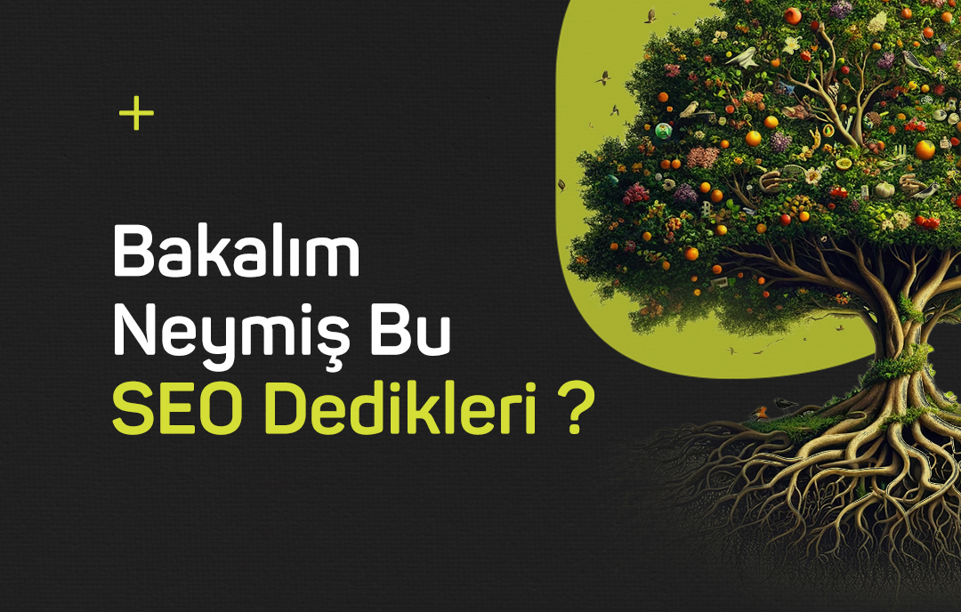 Bakalım Neymiş Bu SEO Dedikleri?